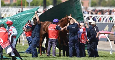 2015 melbourne cup results